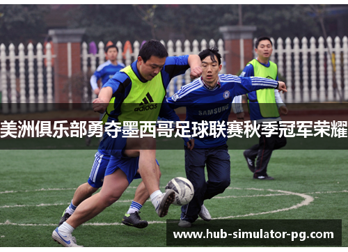 美洲俱乐部勇夺墨西哥足球联赛秋季冠军荣耀